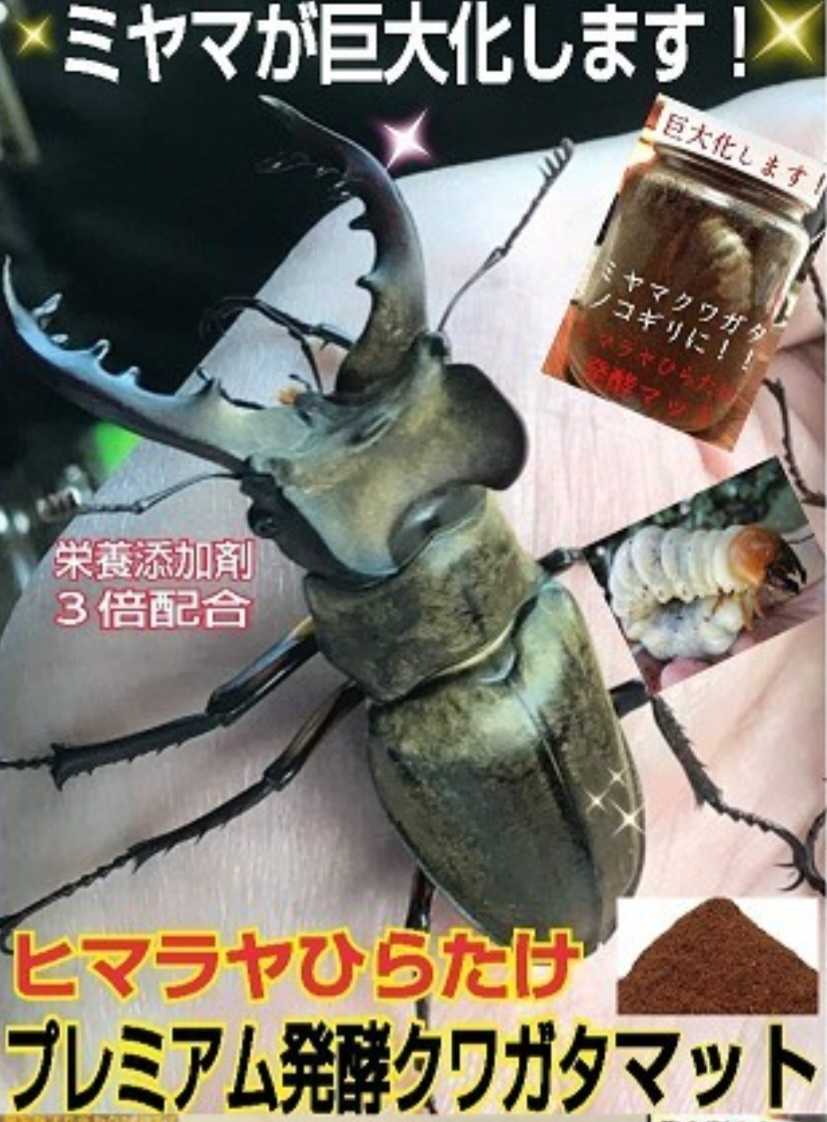 ヘラクレス180ミリ羽化実績!進化した!プレミアム3次発酵マット【6袋