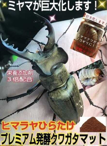 ミヤマクワガタに抜群! 進化した!プレミアム3次発酵マット【3袋】微粒子 トレハロース配合 産卵にも最適 ギネスサイズ羽化実績あり