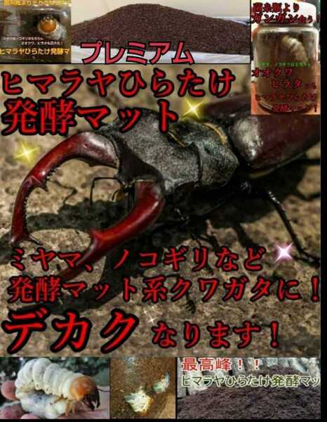 ミヤマクワガタに抜群! 進化した!プレミアム3次発酵マット【2袋】微粒子 トレハロース配合 産卵にも最適 ギネスサイズ羽化実績あり