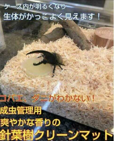 爽やかな香りの針葉樹マット【5袋】クワガタ・カブトムシの成虫飼育はコレ!ケース内が明るくなり生体がカッコ良く見える!ダニ防止にも