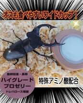 ハイグレードプロゼリー【50個】トレハロース強化！　クワガタ、カブトムシの産卵数アップ・長寿効果に抜群！　食べやすいワイドカップ　_画像8