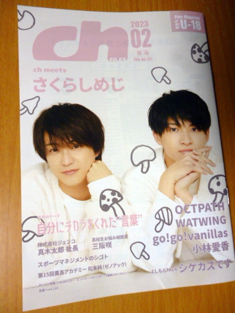 ヤフオク! -go!go!vanillasの中古品・新品・未使用品一覧