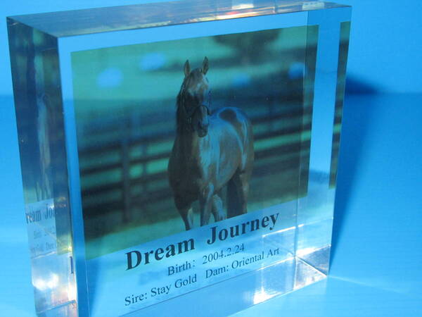匿名送料無料 ★ドリームジャーニー Dream Journey 2004 アクリル素材 置物 縦8×横8㎝ ☆アクリルオブジェ★ 即決!ウマ娘 アイドルホース