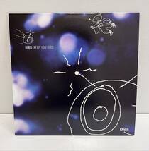 極美品 メランコリック ハウス ♪ Hird Keep You Hird 12インチ Yukimi Nagano / Plej 検 チルアウト ブレイクビーツ JAZZ HOUSE_画像1