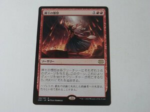 MTG 美品 【神々の憤怒】 （レア） 2X2 日 2枚迄