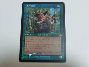 MTG 美品 【木の実拾い（旧枠FOIL）】 （神話レア） ドミナリア・リマスター DMR 日 1枚迄