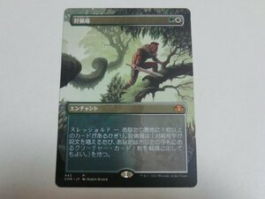 MTG 美品 【狩猟場（ボーダーレス）】 （神話レア） ドミナリア・リマスター DMR 日 1枚迄