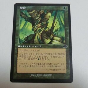 MTG 美品 【繁茂（旧枠）】 （コモン） ドミナリア・リマスター DMR 日 5枚迄の画像1