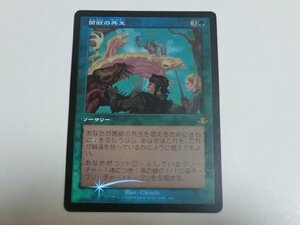 MTG 美品 【菌獣の共生（旧枠FOIL）】 （レア） ドミナリア・リマスター DMR 日 1枚迄