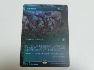 MTG 美品 【アルボリア（ボーダーレスFOIL）】 （レア） ドミナリア・リマスター DMR 日 2枚迄