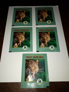 野生動物のステッカーカード　５パックセット
