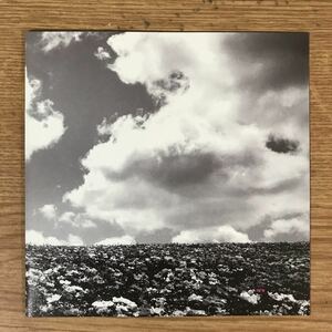 (272) б/у CD100 иен BUMP OF CHICKEN цветок. название 