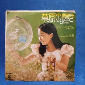【EPレコード】アグネス・チャン　草原の輝き/山鳩/マルケン/激安2