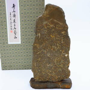 ◆◇三葉虫 化石 2.6kg 中国山東省 寿石斎燕子石芸品北海道■北海道大学地質学者・戸苅賢二鑑定◇◆