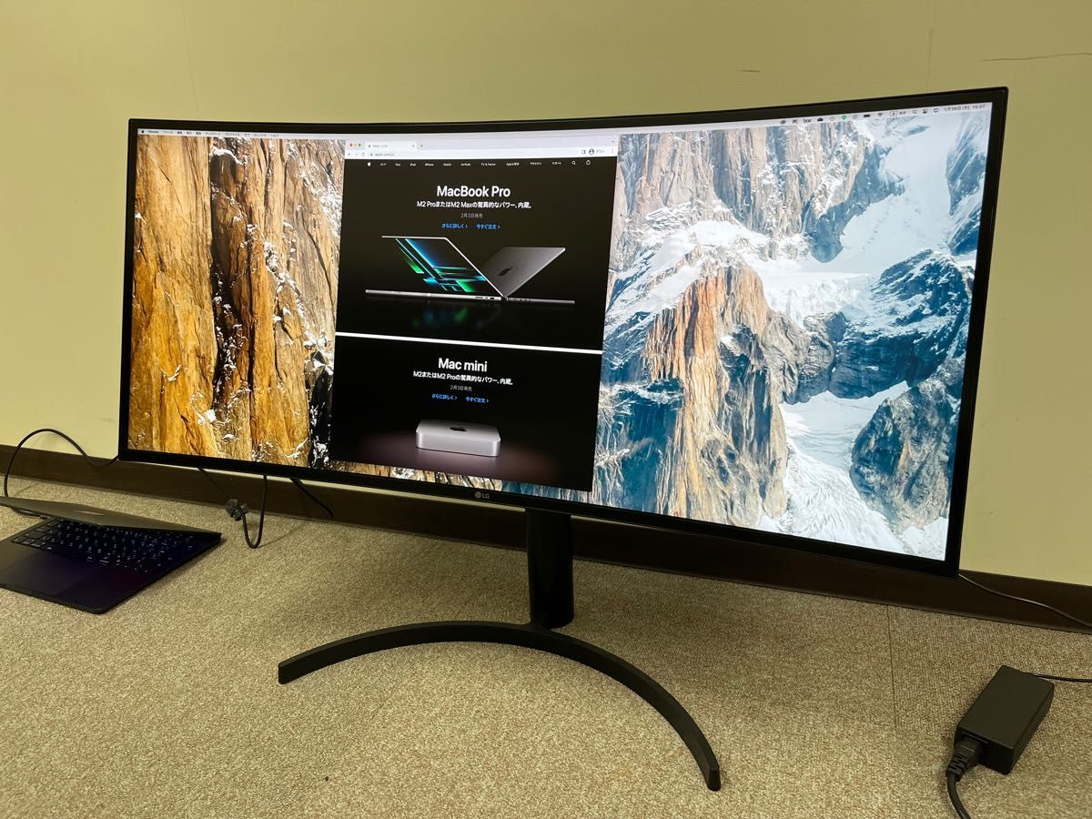 国内発送 EIZO FlexScan S2133-H S2133-HBK ブラック カラー液晶