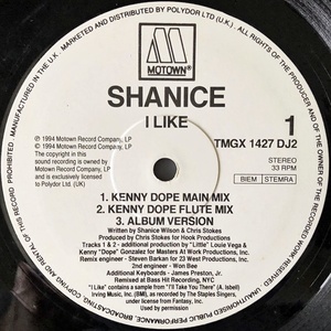 【ワンコイン 90's 12】Shanice / I Like