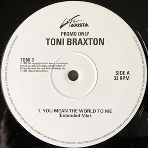 【ワンコイン 90's 12】Toni Braxton / You Mean The World To Me