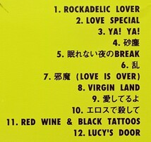 ◇ROCK◇ANN LEWIS(アン・ルイス)／ROCKADELIC ※'93年盤 送料別 匿名配送_画像6