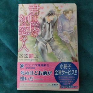 ☆高遠琉加　君は僕の初恋の人　 文庫