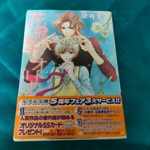 ☆染井吉乃　花冠のセオリー　文庫