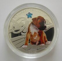 フィジー ボクサー 犬 2ドル 2013年 銀貨 硬貨_画像4