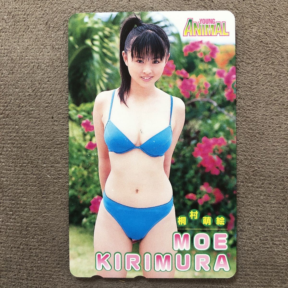 信託 Moe 13 : 桐村萌絵写真集 サイン入り drenriquejmariani.com