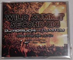 DJ HORIUCHI with DJ MITSU / WILD SUMMIT SECOND GIG(2枚組) 美品 洋楽オールジャンルパーティMixCD