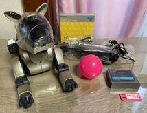 SONY AIBO ソニー アイボ　ERS-210　エンターテイメントロボット　バーチャルペット　AIBOライフ メモリースティック　ジャンク 中古品_画像1