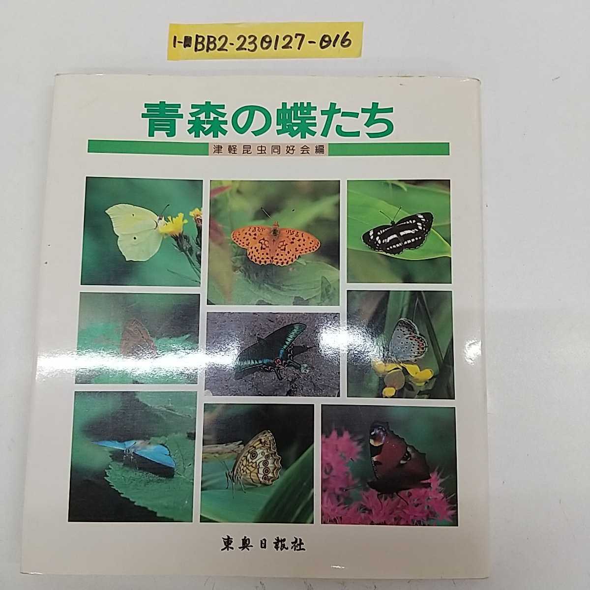 Insect Times Special 早大生物同好会昆虫班の会報蝶・甲虫・トンボ