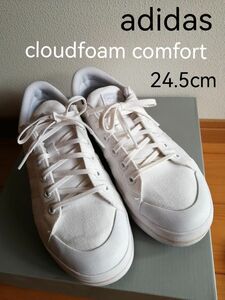 adidas cloudfoam comfort 24.5cm　アディダススニーカー　キャンバス　通学　白　シューズ　レディース