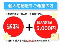 【即決】【即日発送可】ネイキッド TA-L750S 社外 マヂカルギア magical gear ドア バイザー 1台分 4枚セット 中古 9981_画像6