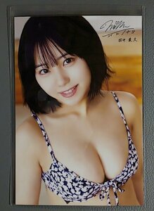 ポストカード　田中美久 NMB48　セブンネット購入特典　月刊エンタメ