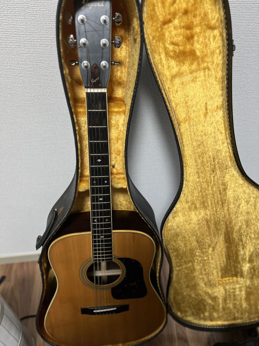 Jagard JD-350 Acoustic Guitar アコースティックギター 寺田楽器 現状品 -GrunSound-x572-  www.cleanlineapp.com