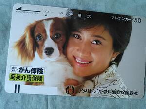  used . telephone card Watanabe . beautiful american Family life guarantee free 110-16924 50 frequency 