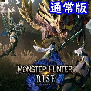 【Steamキー】Monster Hunter Rise / モンスターハンター ライズ【PC版】