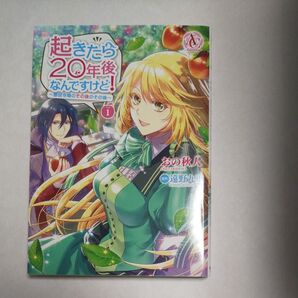 起きたら20年後なんですけど! 悪役令嬢のその後のその後 1 おの秋人 遠野九重 アリアンローズコミック