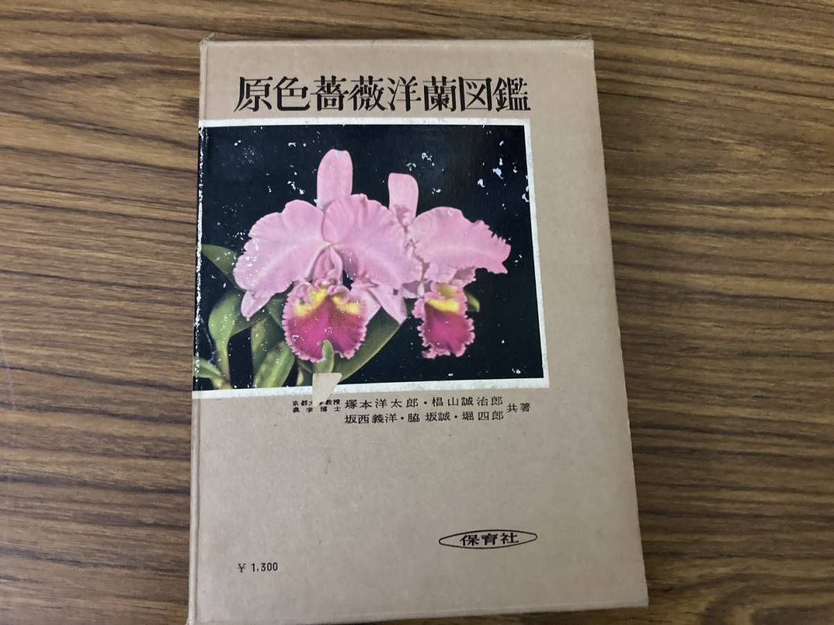 人気 ブランド チェック 洋蘭 書籍 ブラジル大紀行 蘭の大国 ORCHIDS BRAZILIAN 趣味・スポーツ・実用