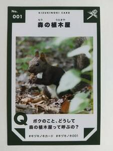 ●キヅキノキカード●01 森の植木屋 ニホンリス●長野県安曇野市●大判カード！同梱時の送料に注意●