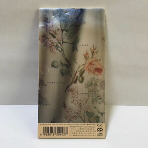 中谷美紀 砂の果実 8cm シングル CDの画像3