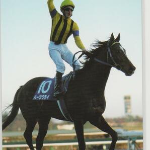 優駿 2005年有馬記念 ハーツクライ テレホンカードの画像1