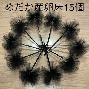 《めだか産卵床15個（チュール生地黒）の商品》