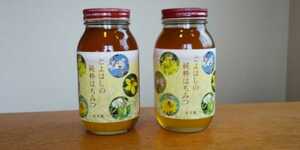  Toyohashi production original . 100 flower honey 1.2kg×2 pcs set 