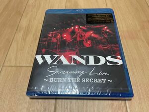 WANDS Streaming Live -BURN THE SECRET- Blu-ray