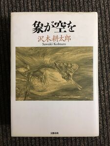 象が空を / 沢木 耕太郎