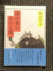 漆の実のみのる国 上 / 藤沢 周平 (著)