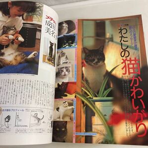 ◇送料無料◇ 月刊 MOE モエ 1995年9月 191号 ムーミンのふるさとを訪ねる旅 猫ネコ特集 おばけのバーバパパ ♪G5の画像9