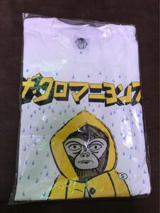 新品 ザ・クロマニヨンズ ピッチピッチチャップチャップランランラン ツアー 高橋ヨシオ tシャツ 白s ハイロウズ ブルーハーツ ヒロト