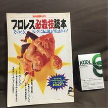 プロレス 必殺技 読本《1993年・25年前当時物》別冊宝島185《現状現品渡し》お好きな方どうぞ！_画像1