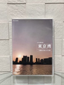 NHKスペシャル 東京湾 知られざる大都会の海 [DVD]