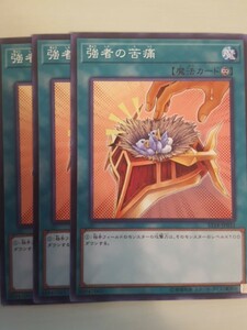 遊戯王 強者の苦痛 三枚 数量7